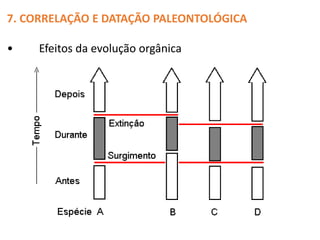 7. CORRELAÇÃO E DATAÇÃO PALEONTOLÓGICA
• Efeitos da evolução orgânica
 