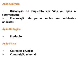Ação Química
• Dissolução do Esqueleto em Vida ou após o
soterramento.
• Preservação de partes moles em ambientes
anóxidos.
Ação Biológica
• Predação
Ação Física
• Correntes e Ondas
• Composição mineral
 