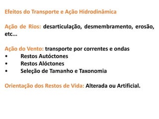 Efeitos do Transporte e Ação Hidrodinâmica
Ação de Rios: desarticulação, desmembramento, erosão,
etc...
Ação do Vento: transporte por correntes e ondas
• Restos Autóctones
• Restos Alóctones
• Seleção de Tamanho e Taxonomia
Orientação dos Restos de Vida: Alterada ou Artificial.
 
