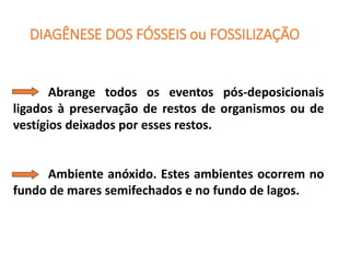 DIAGÊNESE DOS FÓSSEIS ou FOSSILIZAÇÃO
Abrange todos os eventos pós-deposicionais
ligados à preservação de restos de organismos ou de
vestígios deixados por esses restos.
Ambiente anóxido. Estes ambientes ocorrem no
fundo de mares semifechados e no fundo de lagos.
 