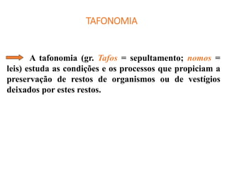 TAFONOMIA
A tafonomia (gr. Tafos = sepultamento; nomos =
leis) estuda as condições e os processos que propiciam a
preservação de restos de organismos ou de vestígios
deixados por estes restos.
 