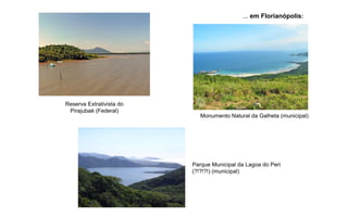 ... em Florianópolis:
Reserva Extrativista do
Pirajubaé (Federal)
Monumento Natural da Galheta (municipal)
Parque Municipal da Lagoa do Peri
(?!?!?!) (municipal)
 