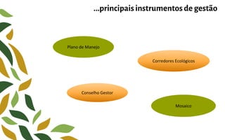 ...principaisinstrumentos de gestão
Plano de Manejo
Conselho Gestor
Corredores Ecológicos
Mosaico
 