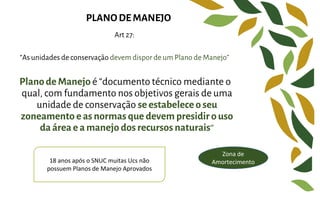 Art 27:
“As unidades de conservação devem dispor de um Plano de Manejo”
Planode Manejo é “documento técnico mediante o
qual, com fundamento nos objetivos gerais de uma
unidade de conservação se estabelece o seu
zoneamento e as normas que devem presidir o uso
da área e a manejo dos recursos naturais”
PLANODE MANEJO
18 anos após o SNUC muitas Ucs não
possuem Planos de Manejo Aprovados
Zona de
Amortecimento
 