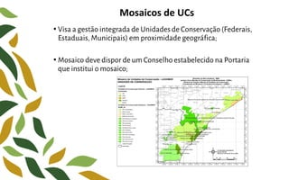 Mosaicos de UCs
• Visa a gestão integrada de Unidades de Conservação (Federais,
Estaduais, Municipais) em proximidade geográfica;
• Mosaico deve dispor de um Conselho estabelecido na Portaria
que institui o mosaico;
 