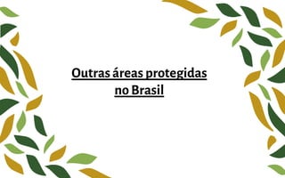Outrasáreas protegidas
noBrasil
 