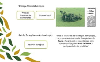 • Código Florestal de 1965:
• Lei de Proteção aos Animais 1967:
Áreas de
Preservação
Permanente
Reserva Legal
Reservas Biológicas
“onde as atividades de utilização, perseguição,
caça, apanha ou introdução de espécimes de
fauna e flora silvestres e domésticas, bem
como modificação de meioambiente a
qualquer título são proibidas”
 