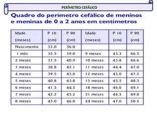 PERÍMETRO CEFÁLICO
 