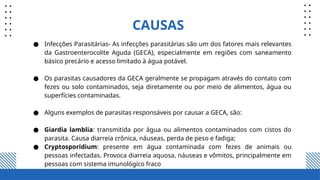 CAUSAS
● Infecções Parasitárias- As infecções parasitárias são um dos fatores mais relevantes
da Gastroenterocolite Aguda (GECA), especialmente em regiões com saneamento
básico precário e acesso limitado à água potável.
● Os parasitas causadores da GECA geralmente se propagam através do contato com
fezes ou solo contaminados, seja diretamente ou por meio de alimentos, água ou
superfícies contaminadas.
● Alguns exemplos de parasitas responsáveis por causar a GECA, são:
● Giardia lamblia: transmitida por água ou alimentos contaminados com cistos do
parasita. Causa diarreia crônica, náuseas, perda de peso e fadiga;
● Cryptosporidium: presente em água contaminada com fezes de animais ou
pessoas infectadas. Provoca diarreia aquosa, náuseas e vômitos, principalmente em
pessoas com sistema imunológico fraco
 