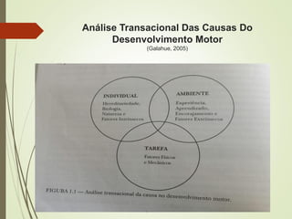 Análise Transacional Das Causas Do
Desenvolvimento Motor
(Galahue, 2005)
 