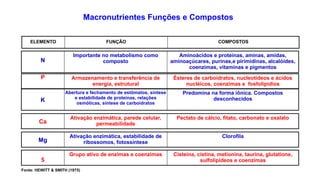 Macronutrientes Funções e Compostos
ELEMENTO FUNÇÃO COMPOSTOS
S
Grupo ativo de enzimas e coenzimas Cisteína, cistina, metionina, taurina, glutatione,
sulfolipídeos e coenzimas
N
Importante no metabolismo como
composto
Aminoácidos e proteínas, aminas, amidas,
aminoaçúcares, purinas,e pirimidinas, alcalóides,
coenzimas, vitaminas e pigmentos
P Armazenamento e transferência de
energia, estrutural
Ésteres de carboidratos, nucleotídeos e ácidos
nucléicos, coenzimas e fosfolipídios
K
Abertura e fechamento de estômatos, síntese
e estabilidade de proteínas, relações
osmóticas, síntese de carboidratos
Predomina na forma iônica. Compostos
desconhecidos
Ca
Ativação enzimática, parede celular,
permeabilidade
Pectato de cálcio, fitato, carbonato e oxalato
Mg
Ativação enzimática, estabilidade de
ribossomos, fotossíntese
Clorofila
Fonte: HEWITT & SMITH (1975)
 