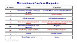 Micronutrientes Funções e Compostos
ELEMENTO FUNÇÃO COMPOSTOS
Zn
Enzimas Anidrase carbônica
Cl
Fotossíntese Cloreto, alcalóides
B
Transporte de carboidratos, coordenação
de fenóis
Íon borato. Não se conhece compostos orgânicos
Cu
Enzima, fotossíntese Polifenoloxidase, plastocianina
Fe
Grupo ativo e enzimas, transporte de
elétrons
Citocromo, ferredoxina, catalase, síntese da porfirina,
redução do nitrato, nitrito e sulfito
Mn
Fotossíntese, metabolismo do ácido
carboxílico
Manganina
Mo
Fixação do N2, redução do nitrato Redutase do nitrato, nitrogenase
Fonte: HEWITT & SMITH (1975)
Ni
Destoxificação de ureia Urease
 