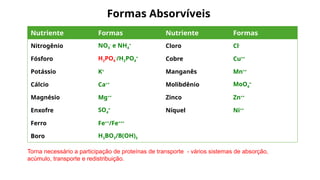 Formas Absorvíveis
Torna necessário a participação de proteínas de transporte - vários sistemas de absorção,
acúmulo, transporte e redistribuição.
Nutriente Formas Nutriente Formas
Nitrogênio NO3
-
e NH4
+
Cloro Cl-
Fósforo H2PO4
-
/H2PO4
=
Cobre Cu++
Potássio K+
Manganês Mn++
Cálcio Ca++
Molibdênio MoO4
=
Magnésio Mg++
Zinco Zn++
Enxofre SO4
=
Níquel Ni++
Ferro Fe++
/Fe+++
Boro H3BO3/B(OH)3
 