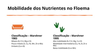 Mobilidade dos Nutrientes no Floema
Classificação – Marshner
1983
Móveis (N, P, K, Mg e Cl)
Pouco móveis (S, Cu, Fe, Mn, Zn e Mo)
Imóveis (Ca e B)
Classificação – Marshner
1995
Alta mobilidade (N, P, K, Mg, S e Cl)
Mobilidade intermediária (Cu, Fe, B, Zn e
Mo)
Baixa mobilidade (Ca e Mn)
 
