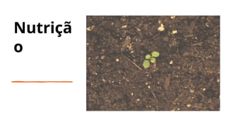 Nutriçã
o
 
