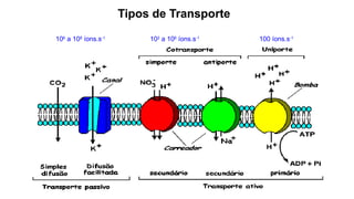 Tipos de Transporte
106
a 108
íons.s-1
102
a 106
íons.s-1
100 íons.s-1
 