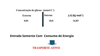 Concentração de glicose (mmol L-1
)
Externa Interna
0,01 10,0
D G (kJ mol-1
)
16,83
Entrada Somente Com Consumo de Energia
TRASPORTE ATIVO
 