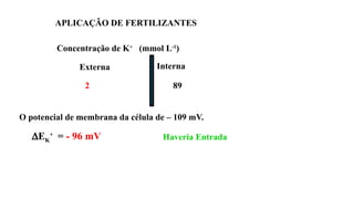 O potencial de membrana da célula de – 109 mV.
DEK
+
= - 96 mV Haveria Entrada
Concentração de K+
(mmol L-1
)
Externa Interna
2 89
APLICAÇÃO DE FERTILIZANTES
 