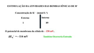 O potencial de membrana da célula de – 150 mV.
DEK
+
= - 114 mV Também Ocorreria Entrada
Concentração de K+
(mmol L-1
)
Externa Interna
1 89
ESTIMULAÇÃO DAATIVIDADES DAS BOMBAS IÔNICAS DE H+
 