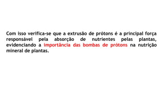 Com isso verifica-se que a extrusão de prótons é a principal força
responsável pela absorção de nutrientes pelas plantas,
evidenciando a importância das bombas de prótons na nutrição
mineral de plantas.
 