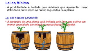 Lei do Mínimo
• A produtividade é limitada pelo nutriente que apresentar maior
deficiência entre todos os outros requeridos pela planta.
Lei dos Fatores Limitantes:
• A produção de uma planta está limitada pelo fator que estiver em
menor quantidade em relação à necessidade do vegetal.
 