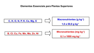 Elementos Essenciais para Plantas Superiores
C, H, O, N, P, K, Ca, Mg, S
Macronutrientes (g kg-1
)
1,0 a 50,0 g kg-1
Micronutrientes (mg kg-1
)
0,1 a 1000 mg kg-1
B, Cl, Cu, Fe, Mn, Mo, Zn, Ni
 