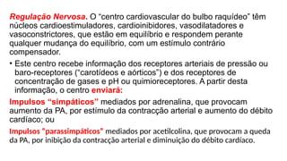 Regulação Nervosa. O “centro cardiovascular do bulbo raquídeo” têm
núcleos cardioestimuladores, cardioinibidores, vasodilatadores e
vasoconstrictores, que estão em equilíbrio e respondem perante
qualquer mudança do equilíbrio, com um estímulo contrário
compensador.
• Este centro recebe informação dos receptores arteriais de pressão ou
baro-receptores (“carotídeos e aórticos”) e dos receptores de
concentração de gases e pH ou quimioreceptores. A partir desta
informação, o centro enviará:
Impulsos “simpáticos” mediados por adrenalina, que provocam
aumento da PA, por estímulo da contracção arterial e aumento do débito
cardíaco; ou
Impulsos “parassimpáticos” mediados por acetilcolina, que provocam a queda
da PA, por inibição da contracção arterial e diminuição do débito cardíaco.
 