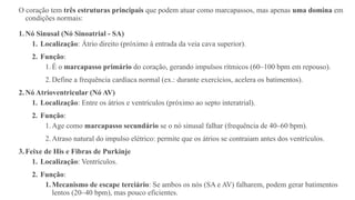 O coração tem três estruturas principais que podem atuar como marcapassos, mas apenas uma domina em
condições normais:
1.Nó Sinusal (Nó Sinoatrial - SA)
1. Localização: Átrio direito (próximo à entrada da veia cava superior).
2. Função:
1.É o marcapasso primário do coração, gerando impulsos rítmicos (60–100 bpm em repouso).
2.Define a frequência cardíaca normal (ex.: durante exercícios, acelera os batimentos).
2.Nó Atrioventricular (Nó AV)
1. Localização: Entre os átrios e ventrículos (próximo ao septo interatrial).
2. Função:
1.Age como marcapasso secundário se o nó sinusal falhar (frequência de 40–60 bpm).
2.Atraso natural do impulso elétrico: permite que os átrios se contraiam antes dos ventrículos.
3.Feixe de His e Fibras de Purkinje
1. Localização: Ventrículos.
2. Função:
1.Mecanismo de escape terciário: Se ambos os nós (SA e AV) falharem, podem gerar batimentos
lentos (20–40 bpm), mas pouco eficientes.
 