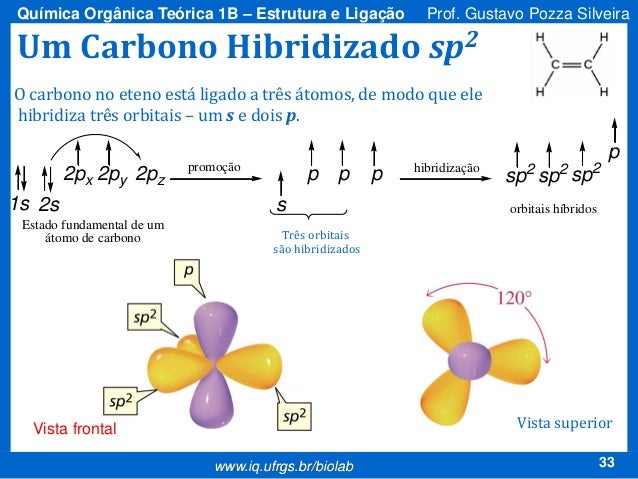 Hibridização: Veja O Que É, Tipos E Como Acontece. - GTCSHQ