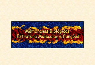 Membranas Biológicas:
Estrutura Molecular e Funções
 