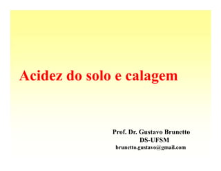 Acidez do solo e calagem


              Prof. Dr. Gustavo Brunetto
                        DS-UFSM
               brunetto.gustavo@gmail.com
 
