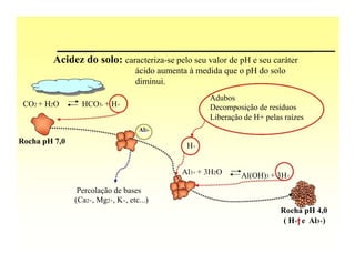Acidez do solo: caracteriza-se pelo seu valor de pH e seu caráter
                                  ácido aumenta à medida que o pH do solo
                                  diminui.
                                                     Adubos
 CO2 + H2O       HCO3- + H+                          Decomposição de resíduos
                                                     Liberação de H+ pelas raízes
                                   Al3+
Rocha pH 7,0
                                               H+


                                              Al3+ + 3H2O     Al(OH)3 + 3H+
                Percolação de bases
               (Ca2+, Mg2+, K+, etc...)
                                                                          Rocha pH 4,0
                                                                           ( H+ e Al3+)
 