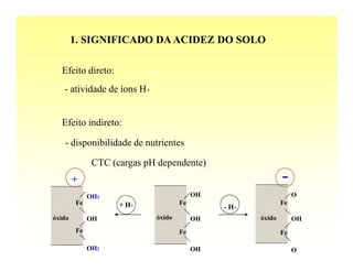 1. SIGNIFICADO DA ACIDEZ DO SOLO

  Efeito direto:
   - atividade de íons H+


  Efeito indireto:

   - disponibilidade de nutrientes

              CTC (cargas pH dependente)
        +
             OH2                         OH                       O
        Fe          + H+            Fe                       Fe
                                              - H+
óxido        OH             óxido        OH          óxido        OH
        Fe                          Fe                       Fe

             OH2                         OH                       O
 