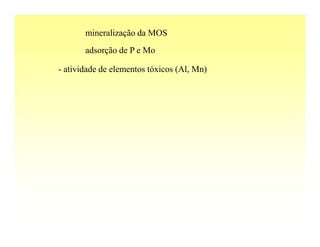 mineralização da MOS
       adsorção de P e Mo

- atividade de elementos tóxicos (Al, Mn)
 
