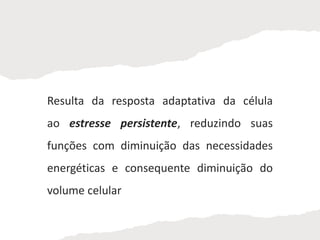 Resulta da resposta adaptativa da célula
ao estresse persistente, reduzindo suas
funções com diminuição das necessidades
energéticas e consequente diminuição do
volume celular
 