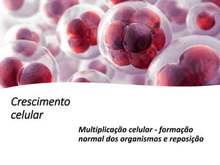 Crescimento
celular
Multiplicação celular - formação
normal dos organismos e reposição
 