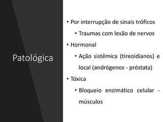 Patológica
• Por interrupção de sinais tróficos
• Traumas com lesão de nervos
• Hormonal
• Ação sistêmica (tireoidianos) e
local (andrógenos - próstata)
• Tóxica
• Bloqueio enzimático celular -
músculos
 