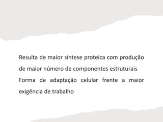 Resulta de maior síntese proteica com produção
de maior número de componentes estruturais
Forma de adaptação celular frente a maior
exigência de trabalho
 