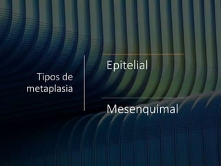 Tipos de
metaplasia
Epitelial
Mesenquimal
 