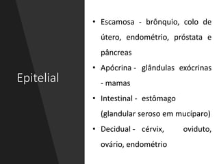 Epitelial
• Escamosa - brônquio, colo de
útero, endométrio, próstata e
pâncreas
• Apócrina - glândulas exócrinas
- mamas
• Intestinal - estômago
(glandular seroso em mucíparo)
• Decidual - cérvix, oviduto,
ovário, endométrio
 