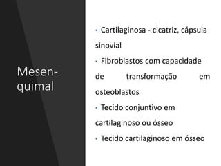 Mesen-
quimal
• Cartilaginosa - cicatriz, cápsula
sinovial
• Fibroblastos com capacidade
de transformação em
osteoblastos
• Tecido conjuntivo em
cartilaginoso ou ósseo
• Tecido cartilaginoso em ósseo
 