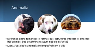 Anomalia
• Diferença entre tamanhos e formas das estruturas internas e externas
dos animais, que determinam algum tipo de disfunção
• Monstruosidade: anomalia incompatível com a vida
 