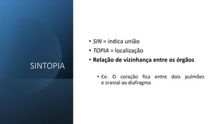 SINTOPIA
• SIN = indica união
• TOPIA = localização
• Relação de vizinhança entre os órgãos
• Ex: O coração fica entre dois pulmões
e cranial ao diafragma
 