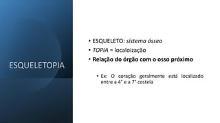 ESQUELETOPIA
• ESQUELETO: sistema ósseo
• TOPIA = localoização
• Relação do órgão com o osso próximo
• Ex: O coração geralmente está localizado
entre a 4° e a 7° costela
 