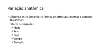 Variação anatômica
• Diferença entre tamanhos e formas de estruturas internas e externas
dos animais
• Fatores de variações:
Idade
Sexo
Raça
Biótipo
Evolução
 