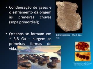 • Condensação de gases e
o esfriamento dá origem
às primeiras chuvas
(sopa primordial);
• Oceanos se formam em
~ 3,8 Ga – surgem as
primeiras formas de
vida;
Estromatólitos – Shark Bay,
AU.
http://www.ucmp.berkeley.e
du/bacteria/cyanofr.html
 