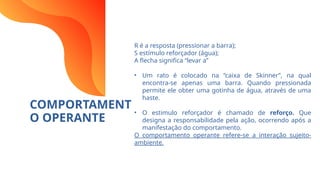 COMPORTAMENT
O OPERANTE
R é a resposta (pressionar a barra);
S estímulo reforçador (água);
A flecha significa “levar a”
• Um rato é colocado na “caixa de Skinner”, na qual
encontra-se apenas uma barra. Quando pressionada
permite ele obter uma gotinha de água, através de uma
haste.
• O estimulo reforçador é chamado de reforço. Que
designa a responsabilidade pela ação, ocorrendo após a
manifestação do comportamento.
O comportamento operante refere-se a interação sujeito-
ambiente.
 
