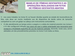 MANEJO DE FÊMEAS GESTANTES E AS
OPERAÇÕES REALIZADAS EM FETOS
DE FÊMEAS GESTANTES ABATIDA
V - nos casos tratados no inciso IV, se houver dúvidas quanto ao estado de inconsciência do
feto, este deve ser morto mediante uso de dispositivo de dardo cativo de tamanho
compatível ou com um golpe na cabeça com instrumento contundente.
• O não atendimento ao tempo entre a sangria e a coleta do material previsto nos incisos I
e IV não configurará infração nos casos em que a coleta antecipada seja necessária para
assegurar a finalidade específica de uso do material coletado, devendo, neste caso, serem
adotados um dos procedimentos previstos no inciso V em todos os fetos.
DRA. CÁSSIA ALDRIN DE MELLO
 