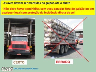- As aves devem ser mantidas no galpão até o abate
- Não deve haver caminhões com aves parados fora do galpão ou em
qualquer local sem proteção da incidência direta de sol
CERTO ERRADO
DRA. CÁSSIA ALDRIN DE MELLO
 