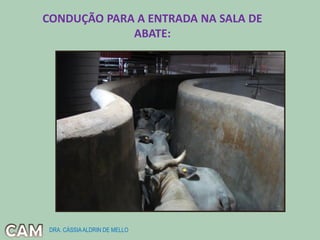 CONDUÇÃO PARA A ENTRADA NA SALA DE
ABATE:
DRA. CÁSSIAALDRIN DE MELLO
 